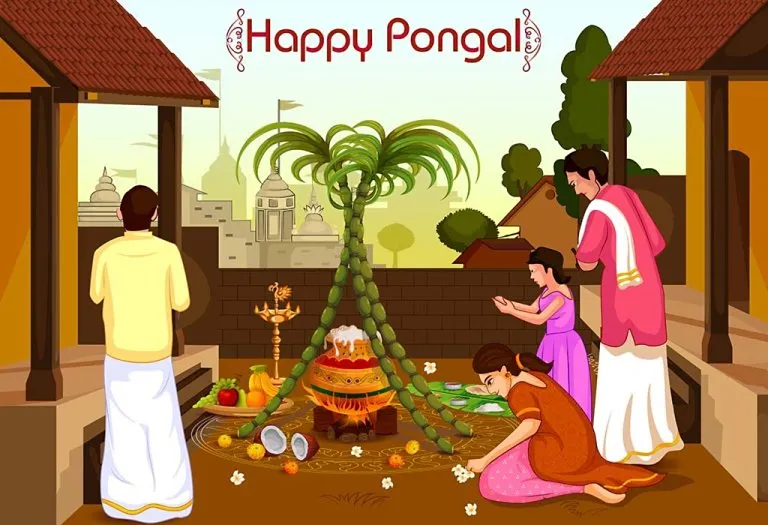 पोंगल त्योहार (Pongal festival), तमिल सौर कैलेंडर के अनुसार थाई/ताई महीने में मनाया जाता है