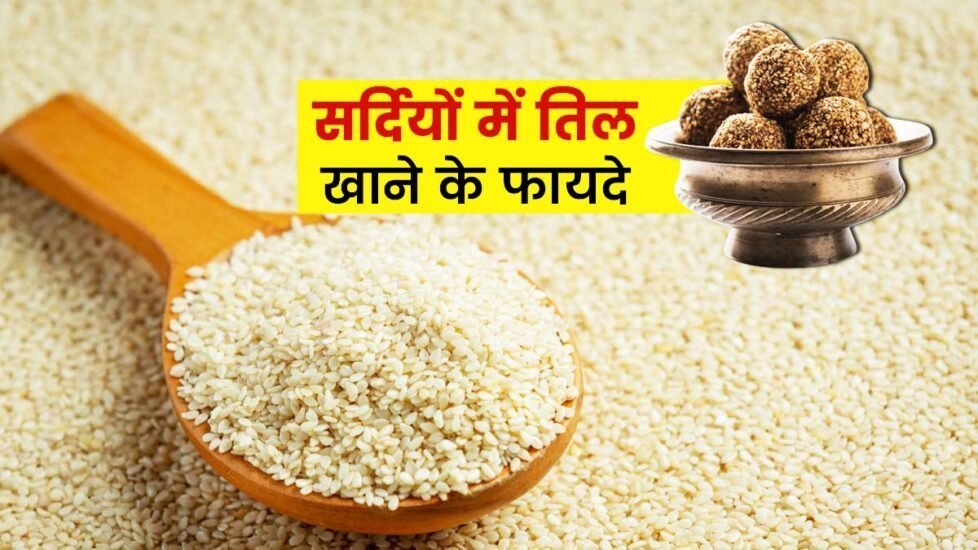 तिल का सेवन; तिल, Sesame Seeds, Sesame-Seeds-M तिल का सेवन; तिल, Sesame Seeds, Sesame-Seeds-M